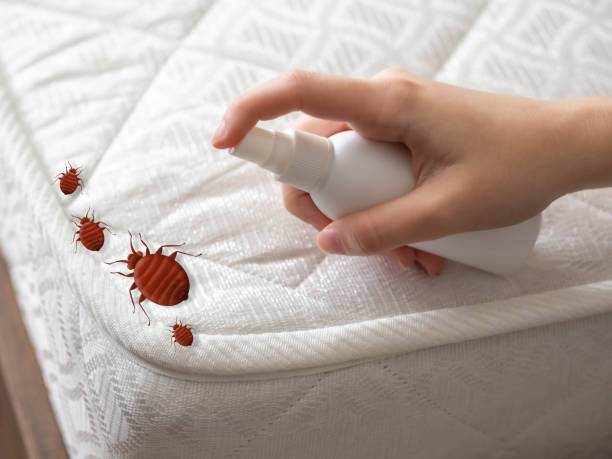 Reliable Freeland, MI Pest control Solutions